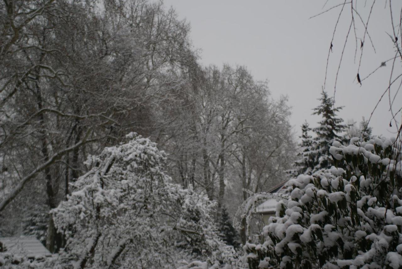 "Am Griebnitzsee" 14482 Potsdam-Babelsberg Exterior photo